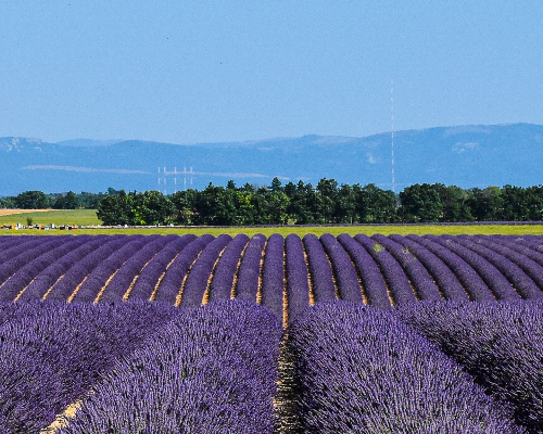 Provence